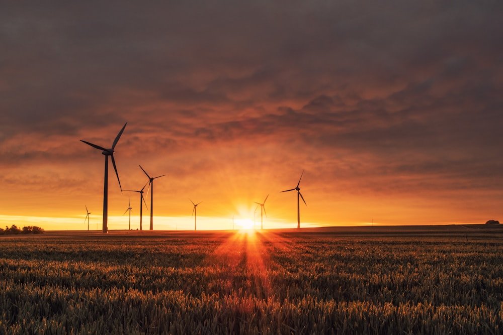 Green landscape with clean energy infrastructure